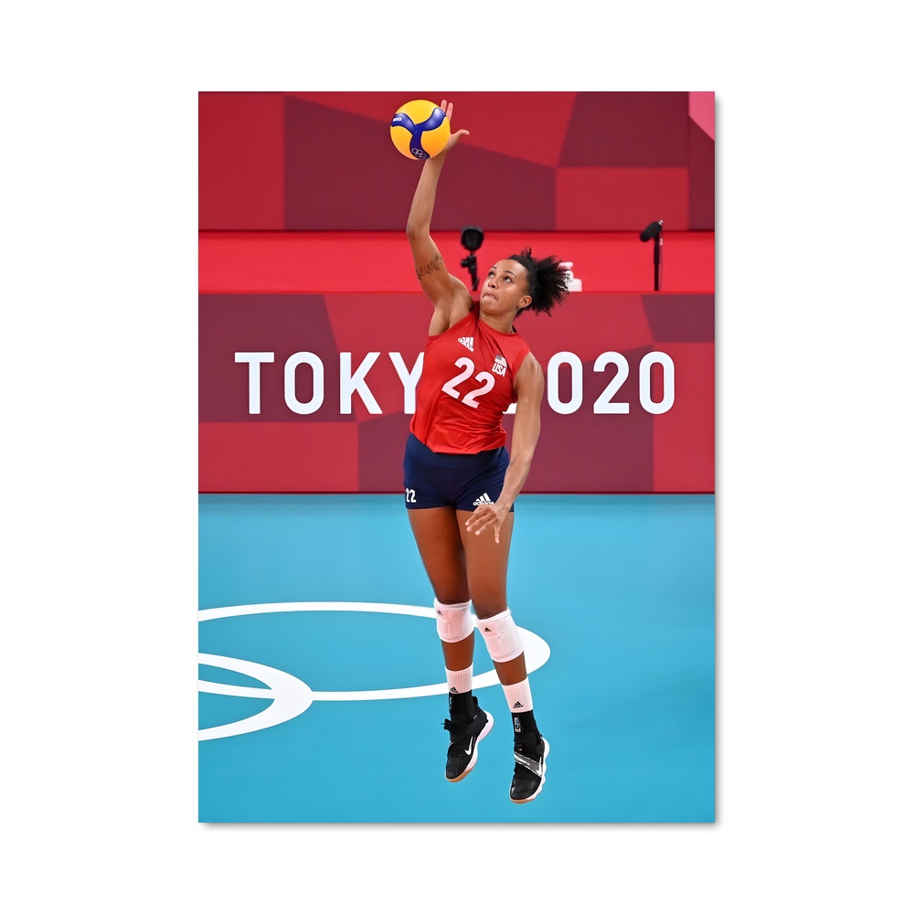 Poster Volleyball de world